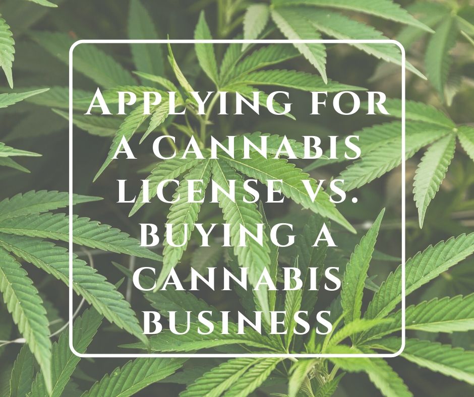 Should You Apply For A Cannabis License Or Buy A Licensed Cannabis ...