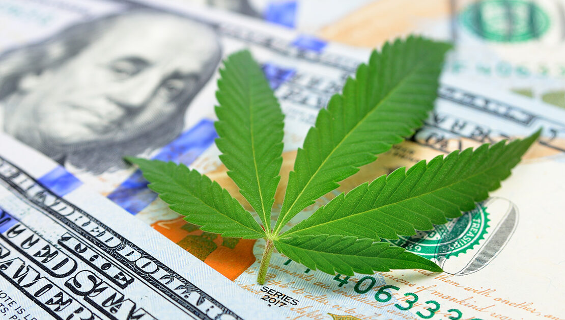 Access Cannabis NYC Loan Fund for CAURD Licenses